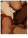 PIM-J2002430-UNL-GB-094-SILKY-SETTING-POWDER-MULTI-PRODUCT-MACRO.webp